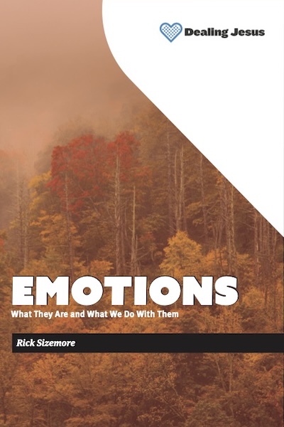 Emotions book cover