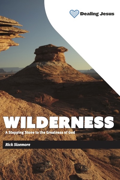 Wilderness book cover